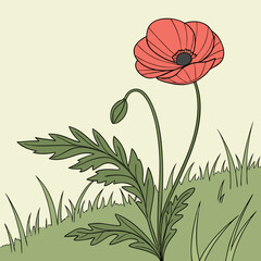Naklejka premium poppy flower illustration