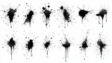 Black ink splashes isolated on white background. Grunge vector elements