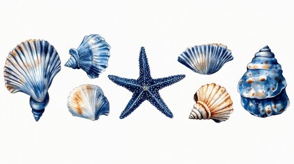 Obraz premium Set of seashells isolated on white background, clipping path included