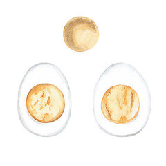 Two halves of a boiled egg and a yolk in a realistic style. Isolated watercolor illustration on the theme of food for restaurant menu design, cookbooks, cafes decoration