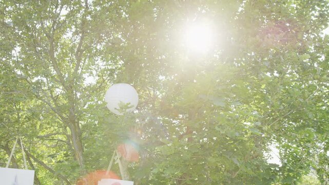 Sun peeking through beautiful green tree with china balls and frames hanging in it, steady cam shot