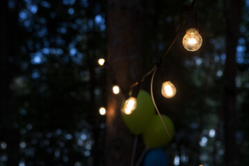 Edison light bulb shines at dusk in a garden against a blurred background
