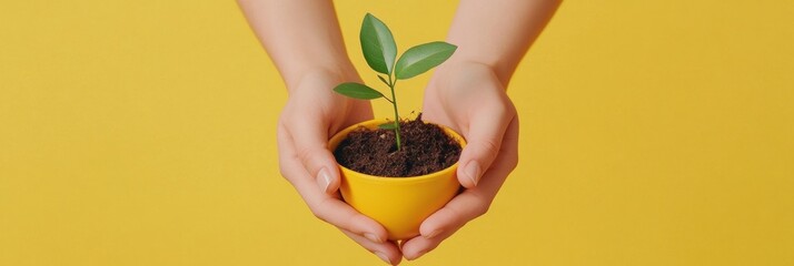 Biophilic Gardening Aesthetic Hands Holding Seedling in Vibrant Yellow Pot with Soil - Eco-friendly Content for Sustainable Agriculture and Green Technology Promotions