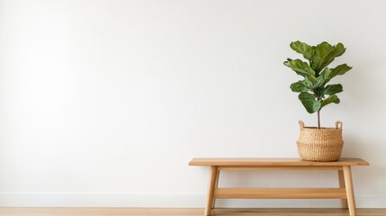 Fototapeta premium Eco-Chic Home Entry Design Wooden Bench and Fiddle Leaf Fig in Minimalist Space - Sustainable Decor and Urban Living Concepts for Modern Interiors