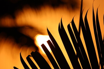 Sunrise silhouette blaze