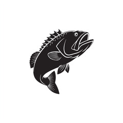 fish on a white background