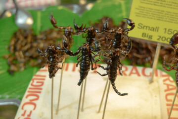 Exotic skewered scorpions displayed on a stall, ready for adventurous eaters. A unique street food experience highlighting daring culinary choices and cultural delicacies.