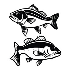 Set of black and white of largemouth bass fish vector...