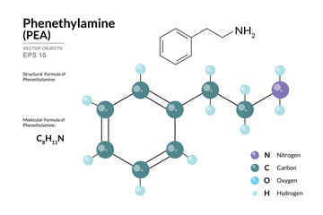 Phenethylamine PEA. Structural Chemical Formula and 3d Model of Molecule. C8H11N. Atoms with Color Coding. Vector graphic Illustration for educational materials, scientific articles, and presentations
