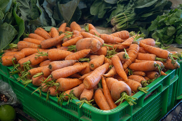 Fresh ripe organic orange carrots, garden vegetables on farmers market on Tenerife, Canary islands, Spain, local grown farmers products