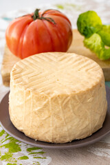 Cheese collection, piece of round fresh smoked Spanish goat cheese close up