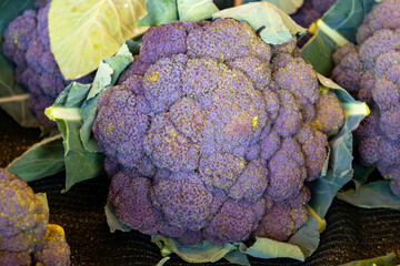 Fresh ripe organic purple cauliflower cabbage vegetables on farmers market on Tenerife, Canary islands, Spain, fresh local farmers products
