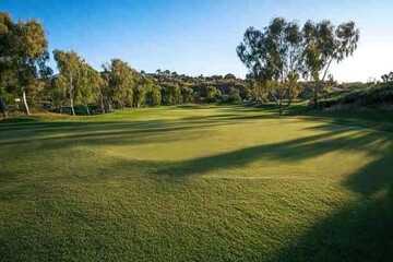 Obraz premium Lush golf course with long shadows cast by trees in the warm late afternoon sunlight