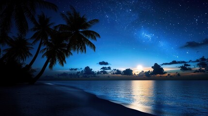 A beautiful beach scene with a palm tree and the ocean