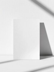 Modern minimalist art piece featuring clean lines and high contrast. Creates a sleek, contemporary look for interior design or as a blank canvas for artistic expression.