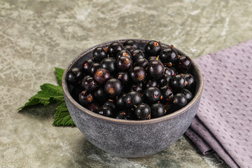 Ripe black currant in the bowl