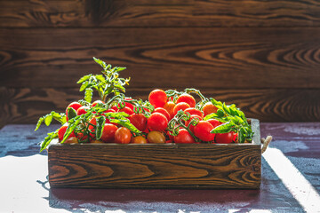 Fresh cherry tomatoes overflowing a rustic wooden crate