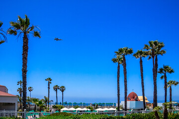 Obraz premium A blue sky with palm trees and a white building in the background