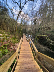 Stairway to the Water