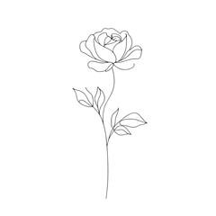 Minimal Handdrawn Single Line Vector Illustration Rose Flower Stem Leaves