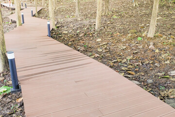 Deep forest pathway in the sunshine,Wood path in In Spring Deep Forest,national park,Deep forest pathway,Stairs going up hillside in green rain forest,space for text.