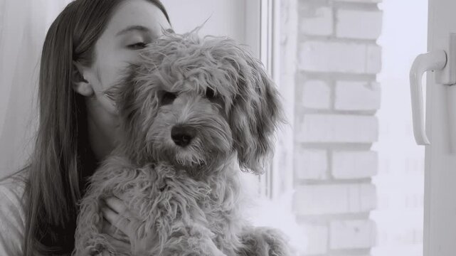 Young teenage girl hugs a Dog of a Cavapoo or Cockapoo breed in home. Both are sitting on the windowsill and looking out the window. 