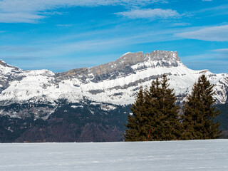 Fototapeta premium mountains with snow, rocks and green trees at the top blue sky, chamonix french alps