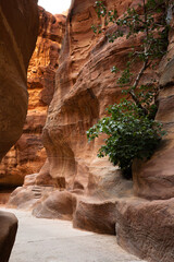 Narrow slot canyon leading into Petra, showcasing the rugged passageway. Adventure travel, archaeological, and tourism photography.