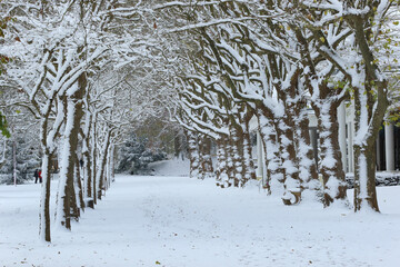 le parc de Vittel sous la neige 