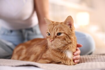 Woman with her cute ginger cat on bed at home, closeup