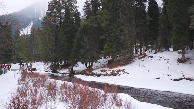 Slow motion shot of Lidder river flowing besides the pine tree forest with riverbanks covered by snow during the winter season as seen from Betaab Valley near Pahalgam in Jammu and Kashmir, India.