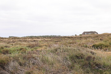 Blick auf das Morsumer Kliff auf der Nordseeinsel Sylt