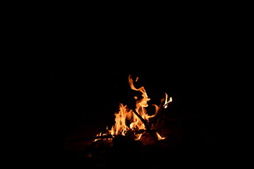 Fire flames on a black background. Burning firewood in the fireplace, close-up