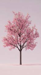 Obraz premium Blossoming cherry tree with vibrant pink flowers in spring