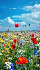 Naklejka premium Vibrant Wildflower Field in Full Bloom Under Clear Blue Sky for Nature Posters and Prints