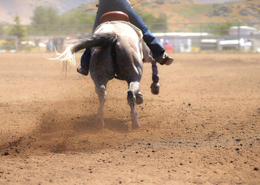 A barrel racing horse is running with dirt flying everywhere.    Room for text on the right and left and visible rocks and dirt are in perfect focus.