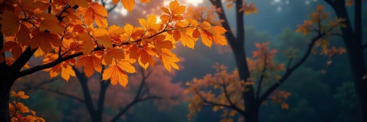 Softly glowing last yellow leaves on treetop branches in the twilight, tree tops, glowing leaves, autumn foliage