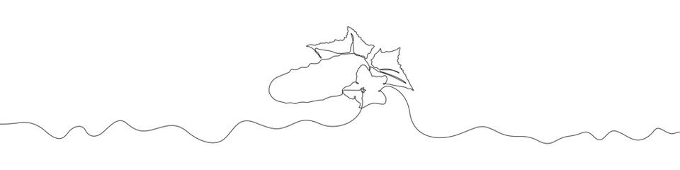 Cucumber icon line continuous drawing vector. One line Cucumber icon vector background. Cucumber Vegetable icon. Continuous outline of a Cucumber icon.