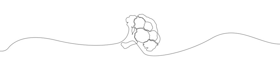 Fototapeta premium Broccoli icon line continuous drawing vector. One line Broccoli icon vector background. Cabbage Vegetable icon. Continuous outline of a Broccoli icon.