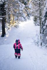 Fototapeta premium A child goes into the winter forest