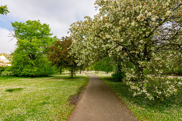 Fototapety na wymiar - Fototapeta24.pl