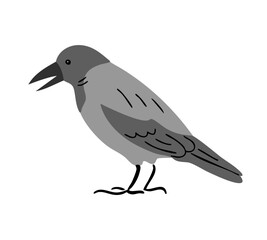 City bird hooded crow. Flying feathered. Animals, nature and ornithology. Cartoon vector illustration isolated on white background