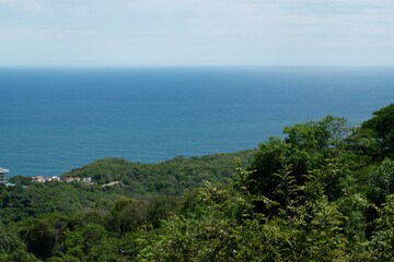 Landscape 1