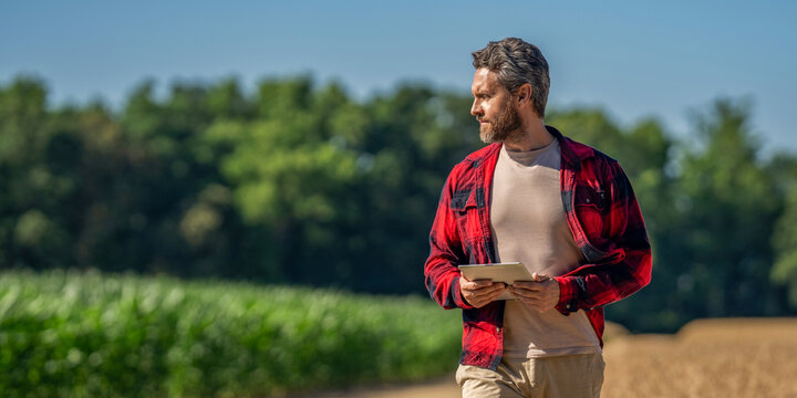 Farmer man working field with tablet. Hispanic farmer with tablet check harvest. Crop harvest. Farmer agronomist man with tablet in cornfield. Technology of modern agriculture. Banner advertisement