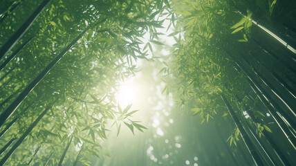 Obraz premium 竹林の光と影が織りなす和の情景