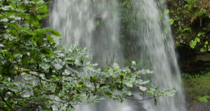 Tilting down the Melin Court waterfall at Melin Court nature reserve