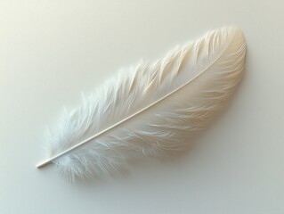 A delicate white feather on a smooth surface.