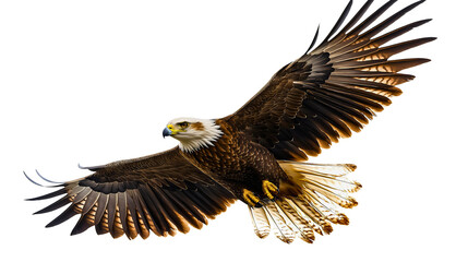 Fototapeta premium Majestic American Eagle Soaring in Flight with Detailed Feathers and Spread Wings