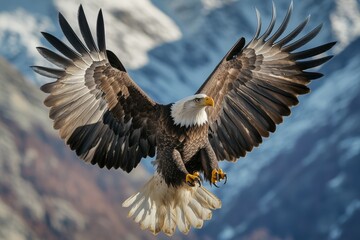 Fototapeta premium A bald eagle flies gracefully through a clear sky, wings fully extended, talons poised for action, against a breathtaking mountain backdrop in high-resolution clarity