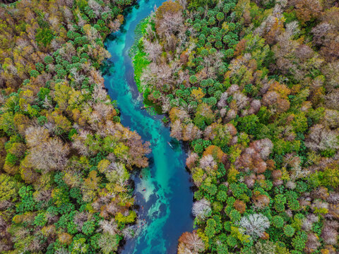 Silver River, Ocala, Florida